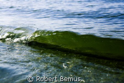 Shorebreak...3" boatwake by Robert Bemus 